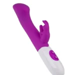 10 Function Dual Rabbit Vibrator EPTRV-013